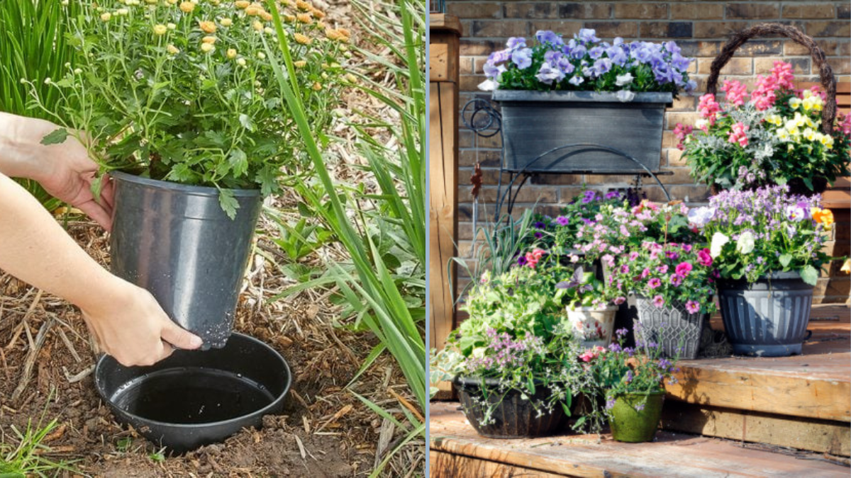 Quick Winter Garden Hacks for Busy People