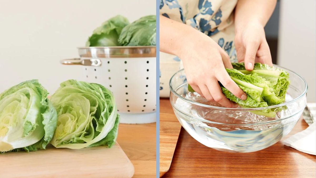 How to Keep Lettuce Crisp All Week