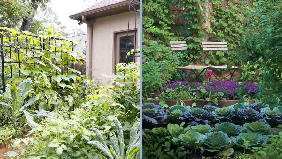 The Best Crops for Fall Kitchen Gardens