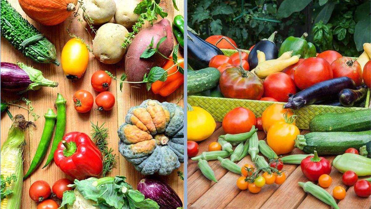 The Best Vegetables to Plant in Each Season