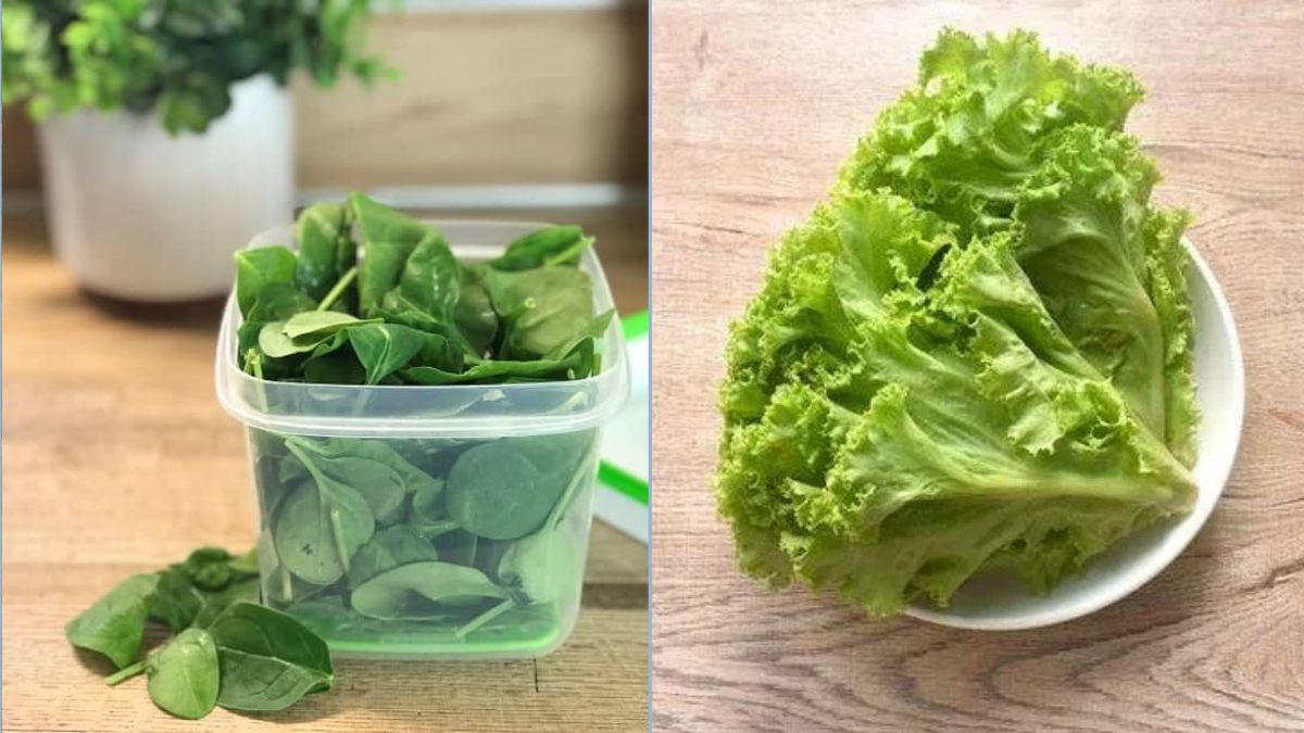 Storing Leafy Greens Without Wilting
