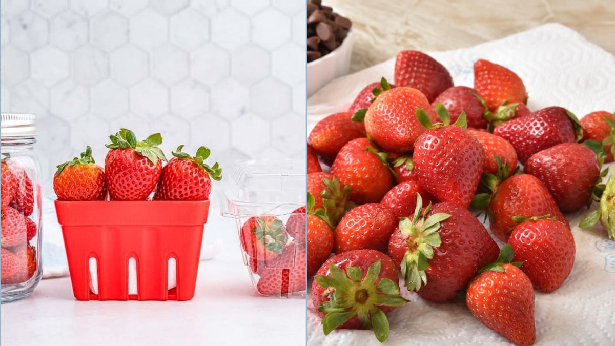 How to Extend Strawberry Freshness at Home