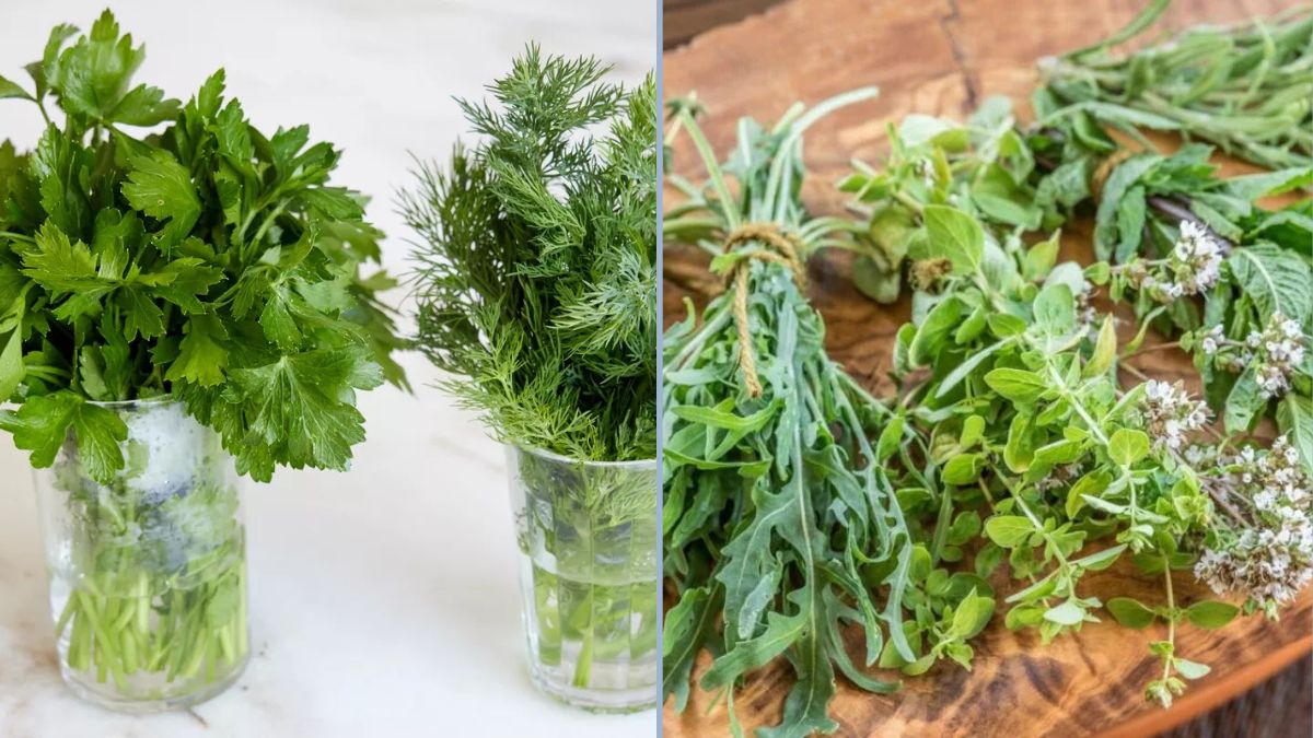 7 Clever Tricks to Make Herbs Last Longer