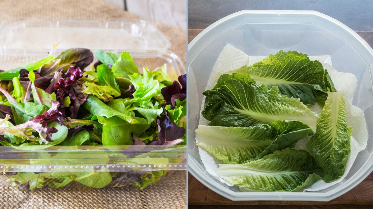 Keeping Lettuce Crisp All Week