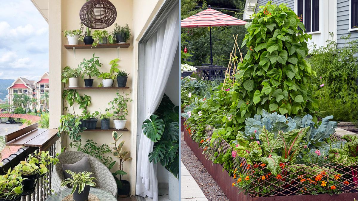DIY Mini Garden for Apartments