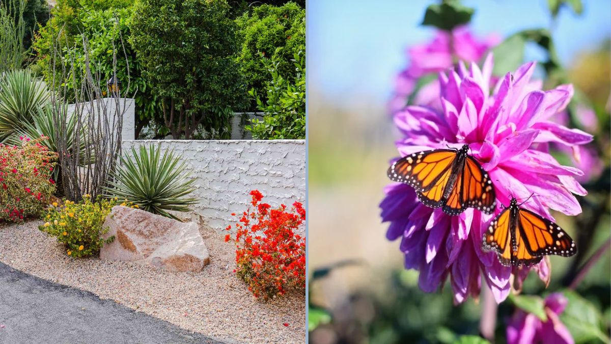 Pest-Resistant Plants for Small Gardens