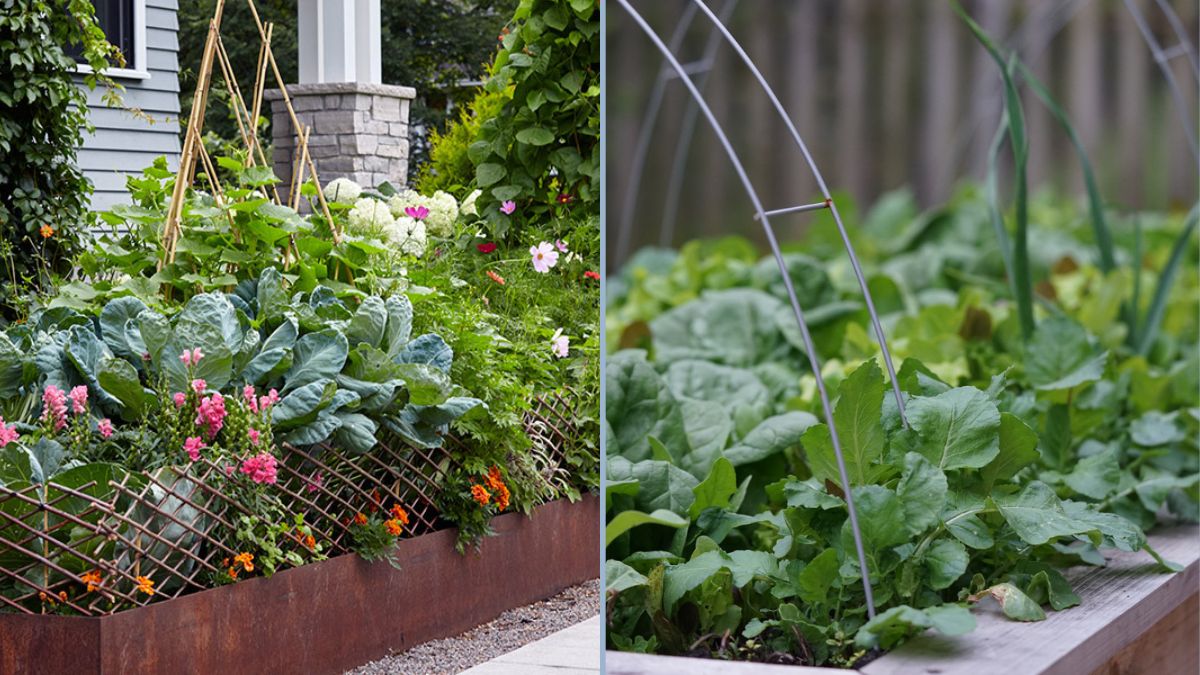 Seasonal Planning for Small Kitchen Gardens