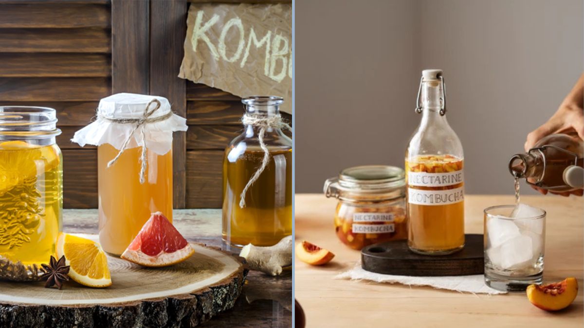 The Surprising Benefits of Kombucha — and How to Brew It Yourself