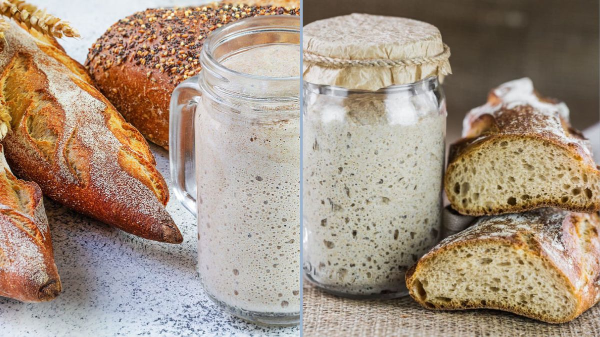 The Benefits of Sourdough Bread and How to Start a Starter