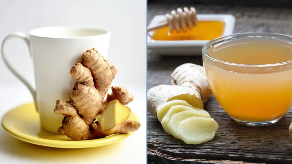 The Magic of Ginger and How to Use It for Better Digestion